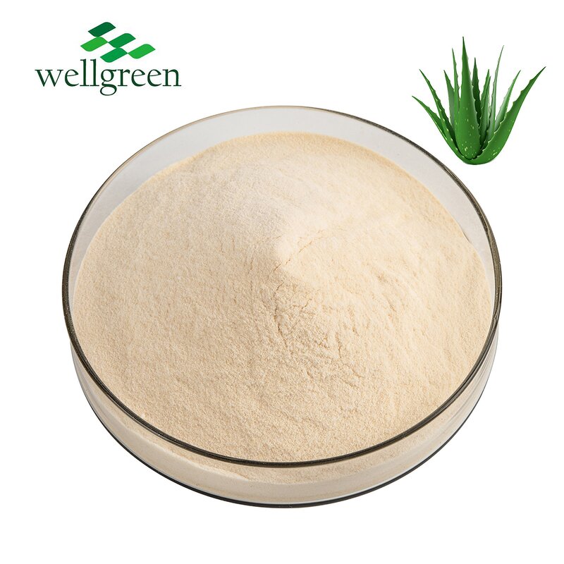 Aloe Vera Powder Manufacturer - Wellgreen Spray Dried Freeze-Dried 200:1 Gel