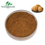 Lion's Mane Mushroom Extract Manufacturer - Wellgreen Organic 30% Beta-Glucan