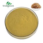 Beta-Sitosterol Powder Manufacturer - Wellgreen Supply from Corn Silk