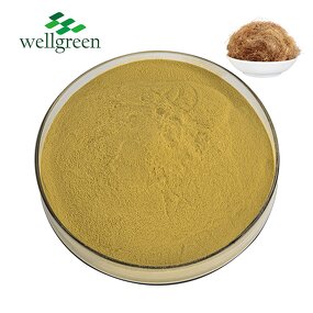 Beta-Sitosterol Powder Manufacturer - Wellgreen Supply from Corn Silk