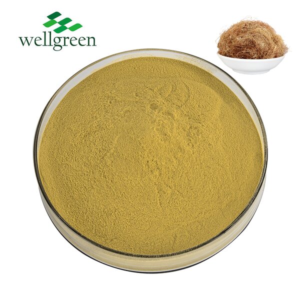 Beta-Sitosterol Powder Manufacturer - Wellgreen Supply from Corn Silk