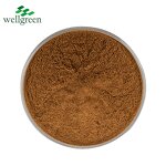 Cordyceps Sinensis Extract Manufacturer - Chinese Caterpillar Fungus Polysaccharide