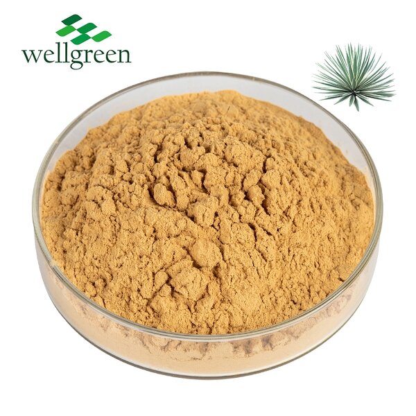Yucca Extract Powder Manufacturer - Natural Plant Feed Organic