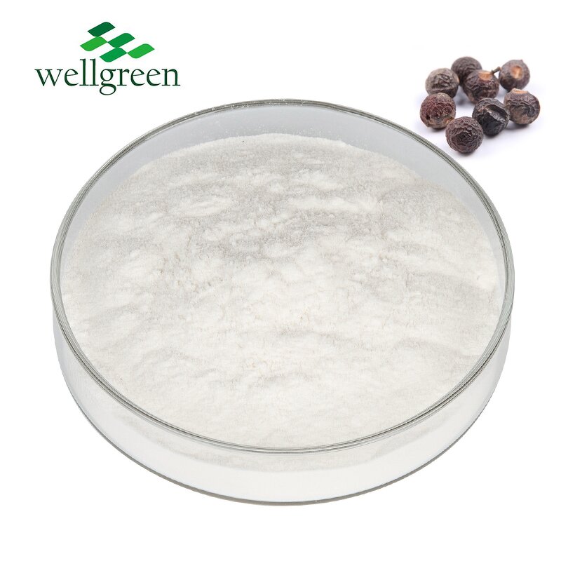 Soapberry Extract Powder Manufacturer - 100% Natural 40%-80% Saponins for Baby Soap