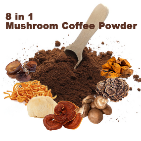 Mushroom Extract Powder Manufacturer - Wellgreen 8 in 1 Premix for Coffee