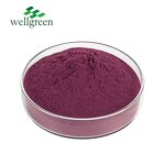 Prune Powder Manufacturer - Wellgreen Juice Prunes Black Sweet Dried