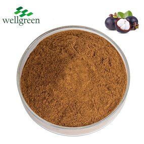 Mangosteen Powder Manufacturer - Fresh Fruit Frozen Dried Natural Extract