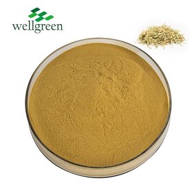 Chlorogenic Acid Manufacturer - Wellgreen Factory Natural 98% from Honeysuckle