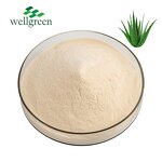 Aloe Vera Extract Manufacturer - Wellgreen Organic 10:1 for Drink Supplements