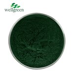 Sodium Copper Chlorophyllin Powder Manufacturer - Halal Supplement Super Unicity