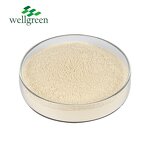 Almond Powder Manufacturer - Juice Nutrition Casa Shell Instant Milk Flour Protein