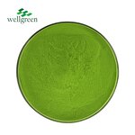 Matcha Powder Manufacturer - Instant Green Tea Ceremonial 100% Organic