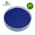 Blue Spirulina Powder Manufacturer - Wellgreen Natural Phycocyanin E18