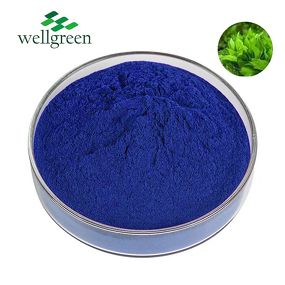 Blue Spirulina Powder Manufacturer - Wellgreen Natural Phycocyanin E18