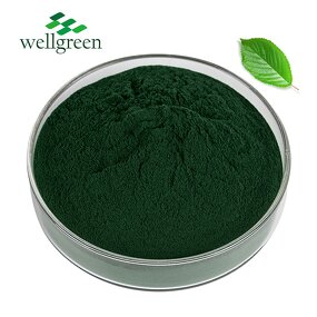 Sodium Copper Chlorophyllin Powder Manufacturer - Halal Supplement Super Unicity