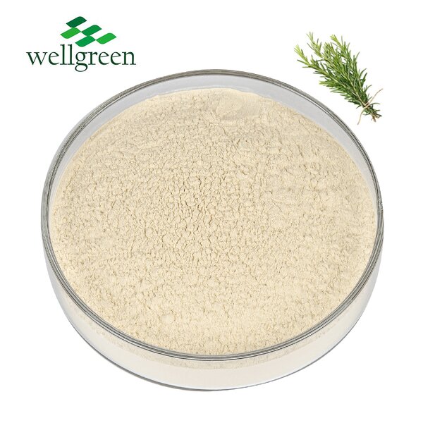 Rosemary Leaf Extract Manufacturer - Natural HPLC 5%-30% Rosmarinic Acid
