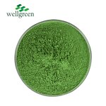 Wheat Grass Powder Manufacturer - Water Soluble Organic Freeze Dried
