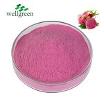 Dragon Fruit Powder Manufacturer - Superior Food Grade Freeze Dried Water Soluble