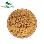 Yucca Extract Powder Manufacturer - Root Saponin Water Soluble Sarsaponin