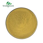 Beta-Sitosterol Powder Manufacturer - Wellgreen Supply from Corn Silk