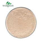 Onion Powder Manufacturer - Gold Supplier Dehydrated Organic Red, Green, White
