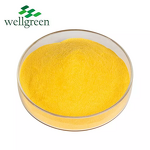 Vitamin B Complex Powder Manufacturer - OEM B1, B2, B3, B6, B7, B9, B12