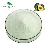 Avocado Powder Manufacturer - Concentrate Seed Fruit Freeze Dried