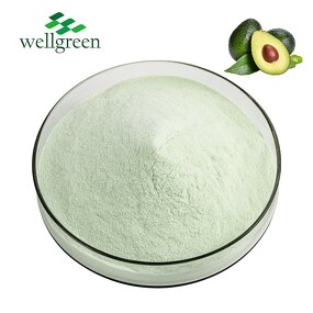 Avocado Powder Manufacturer - Concentrate Seed Fruit Freeze Dried
