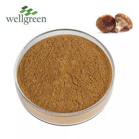 Shiitake Mushroom Extract Manufacturer - Wellgreen USDA 30% & 50% AHCC Powder