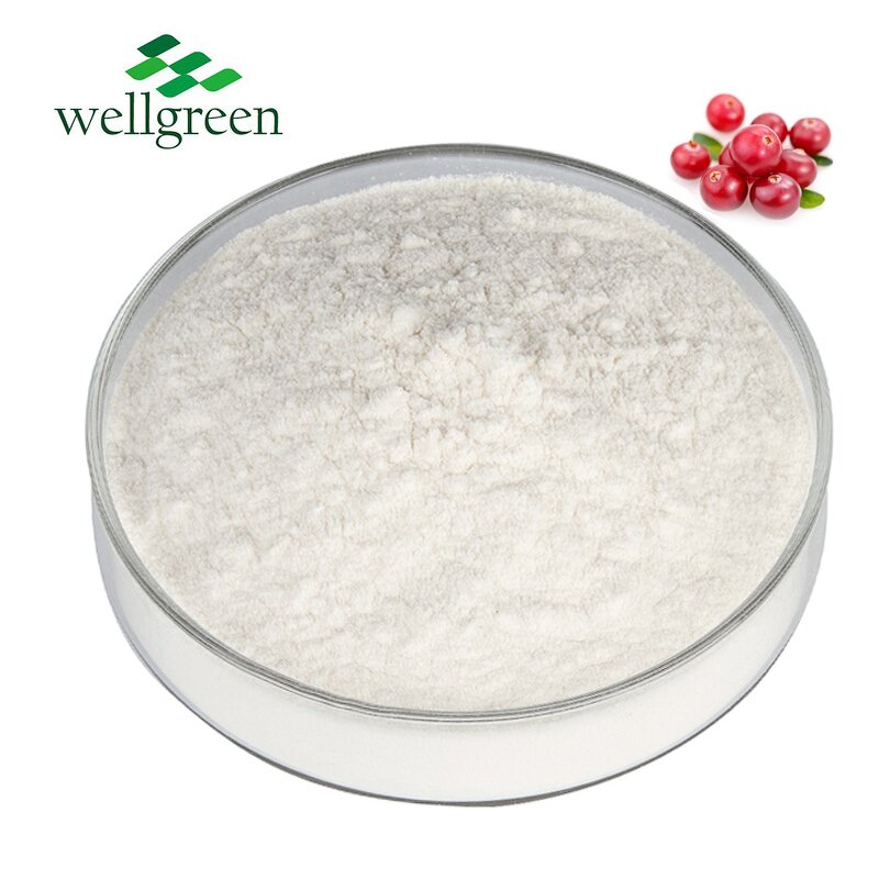 Ursolic Acid Powder Manufacturer - Health Supplement from Loquat Leaf