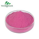Dragon Fruit Powder Manufacturer - Freeze Dried Organic Superior Food Grade Red