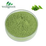 Matcha Green Tea Powder Manufacturer - Organic Ceremonial Grade Halal Pure