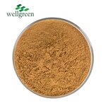 Yucca Extract Powder Manufacturer - Wellgreen High Quality Schidigera Root Saponin