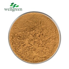 Yucca Extract Powder Manufacturer - Wellgreen High Quality Schidigera Root Saponin