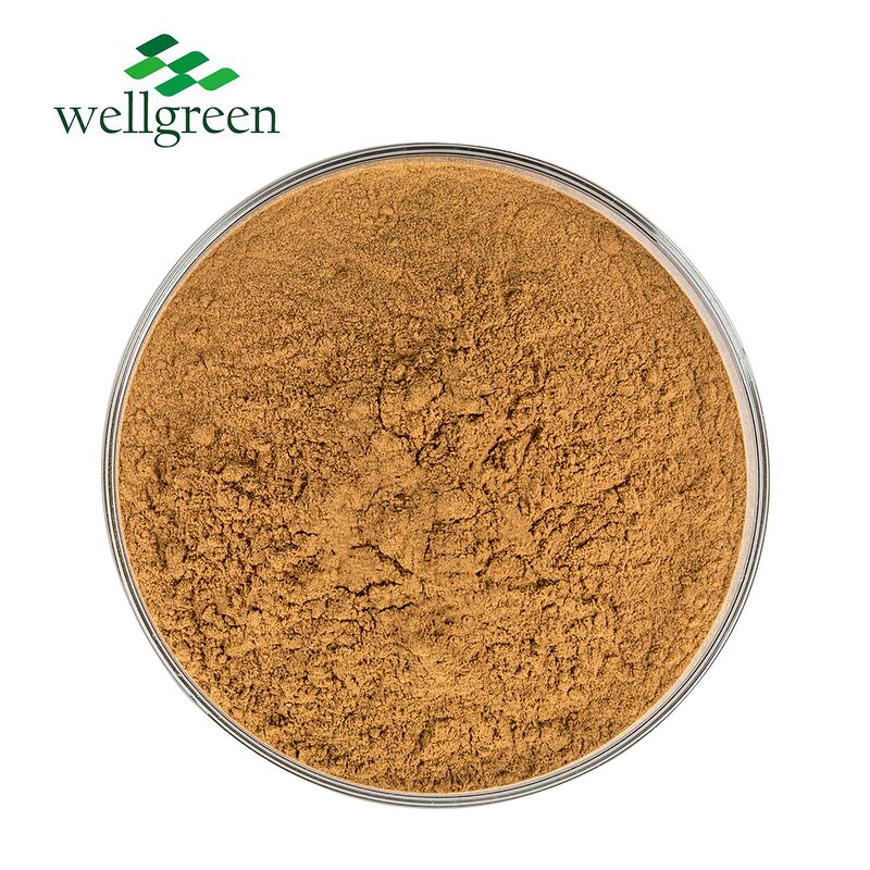 Yucca Extract Powder Manufacturer - Wellgreen High Quality Schidigera Root Saponin
