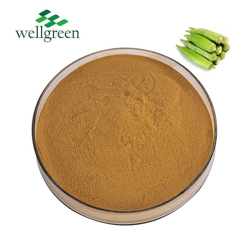 Okra Extract Powder Manufacturer - Natural Organic Polysaccharide from Seed