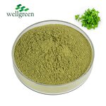 Coriander Powder Manufacturer - China Manufacturer Water Soluble Extract