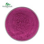 Dragon Fruit Powder Manufacturer - Pure Natural Freeze Dried Water Soluble Pitaya