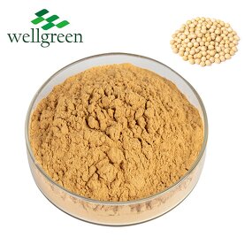 Soy Lecithin Manufacturer - Soybean Sunflower Phosphatidylcholine GMP