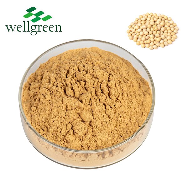Soy Lecithin Manufacturer - Soybean Sunflower Phosphatidylcholine GMP