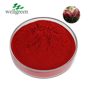 Food Coloring Powder Manufacturer - Water Soluble Edible Natural Ponceau Carmine