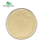 Sunflower Lecithin Manufacturer - Halal Organic Liquid CAS 8002-43-5 Bulk