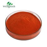 Chili Extract Powder Manufacturer - Nature Red Food Coloring Paprika Oleoresin