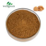 Lion's Mane Mushroom Extract Manufacturer - Wellgreen Organic 30% Beta-Glucan