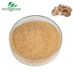 Oyster Mushroom Powder Manufacturer - 100% Pure Organic for Plant Protein