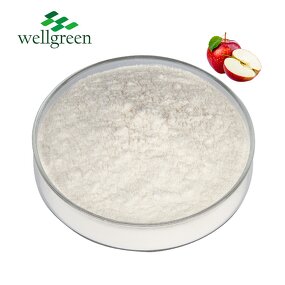 Apple Cider Vinegar Powder Manufacturer - Bulk Price Food Grade Organic 5%