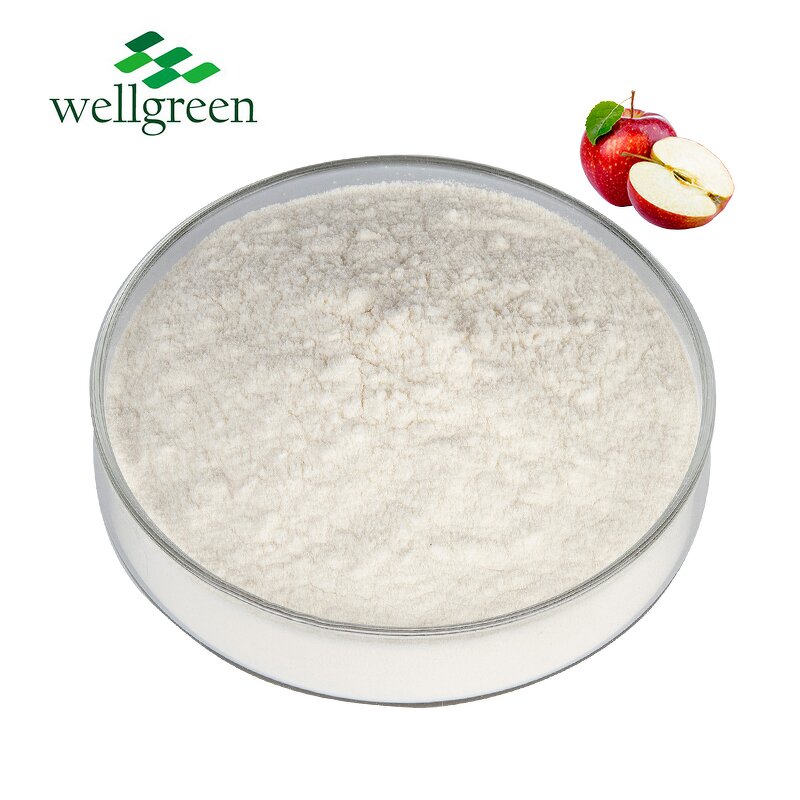 Apple Cider Vinegar Powder Manufacturer - Bulk Price Food Grade Organic 5%