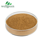 Soapberry Extract Powder Manufacturer - Wellgreen Herbal 10:1 Saponins