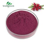 Roselle Extract Powder Manufacturer - ISO Factory Supply Food Grade Hibiscus Flower