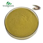 Green Lipped Mussel Powder Manufacturer - Factory Direct 100% Nature Pure Dried